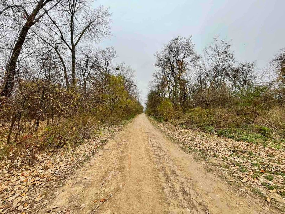 Продається земельна ділянка в с. Іванівка 7811