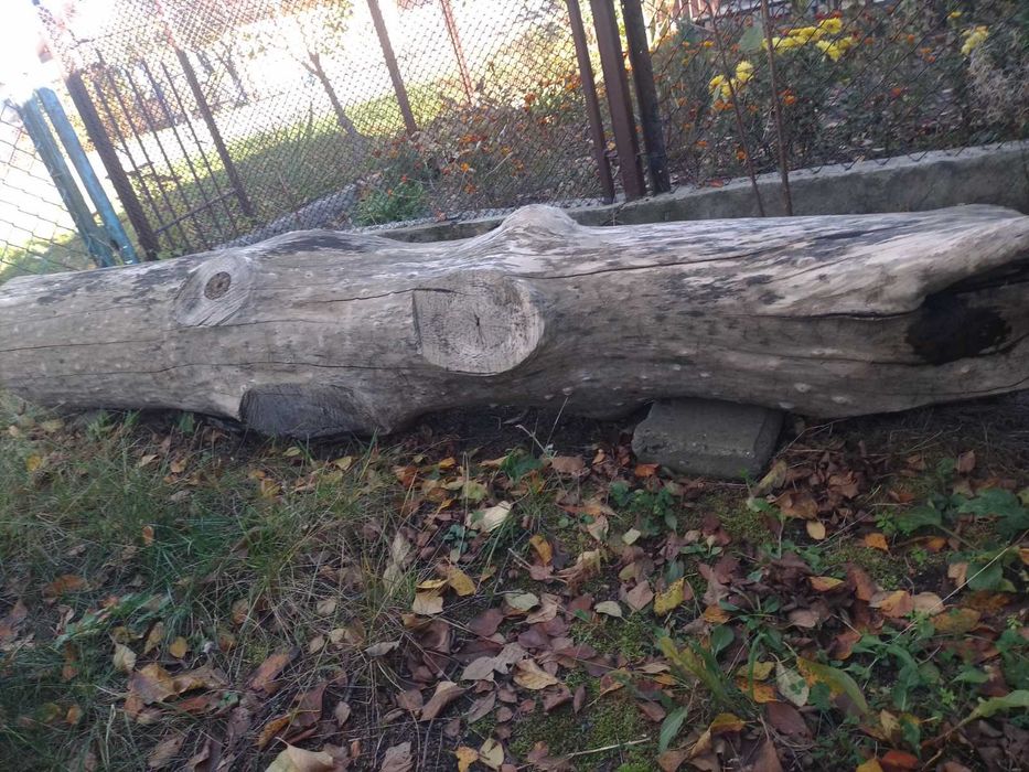 Деревина ясен (сухий)