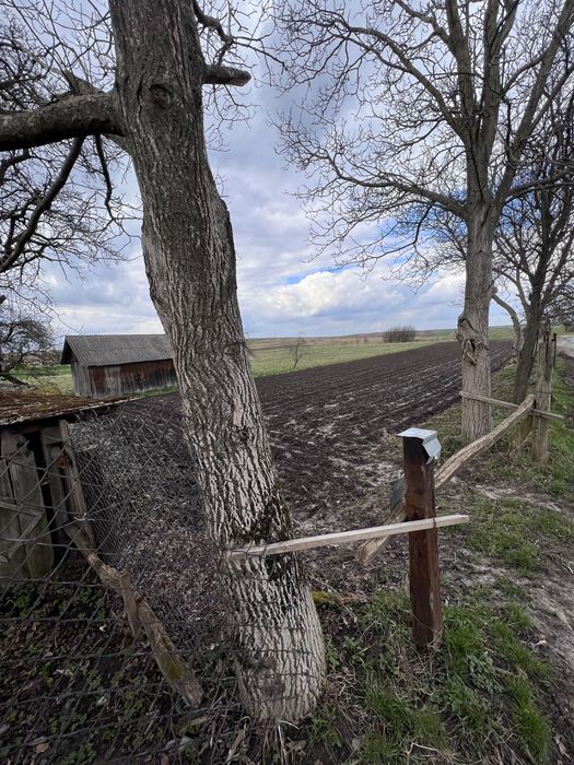 Продаж будинку с. Нагірці