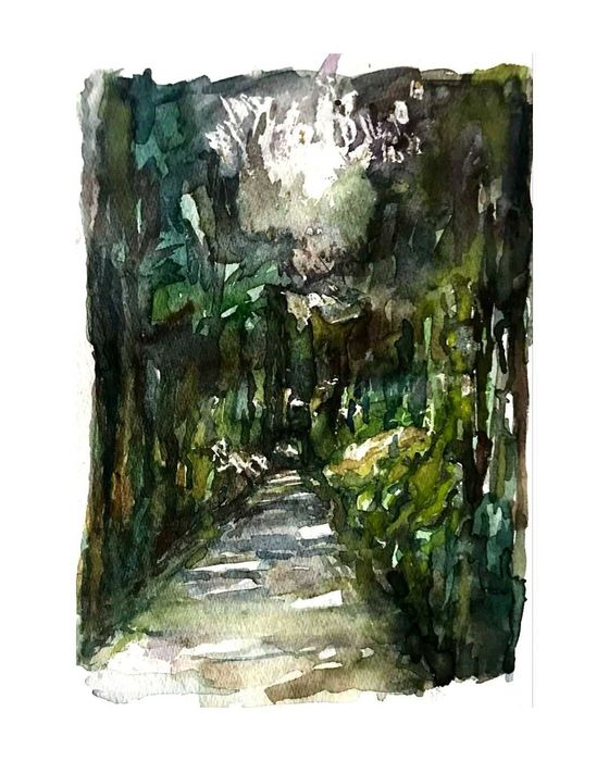 Akwarela. Bardzo tanio!