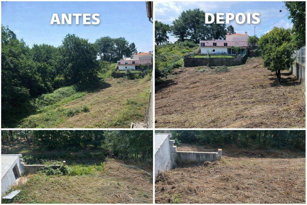 Desmatacao de terrenos
