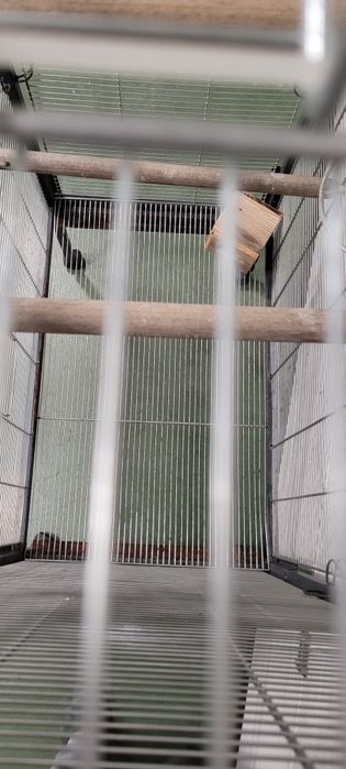 Woliera dla ptaków
Woliera dla ptaków Zolux Chic Solo H156 – duża