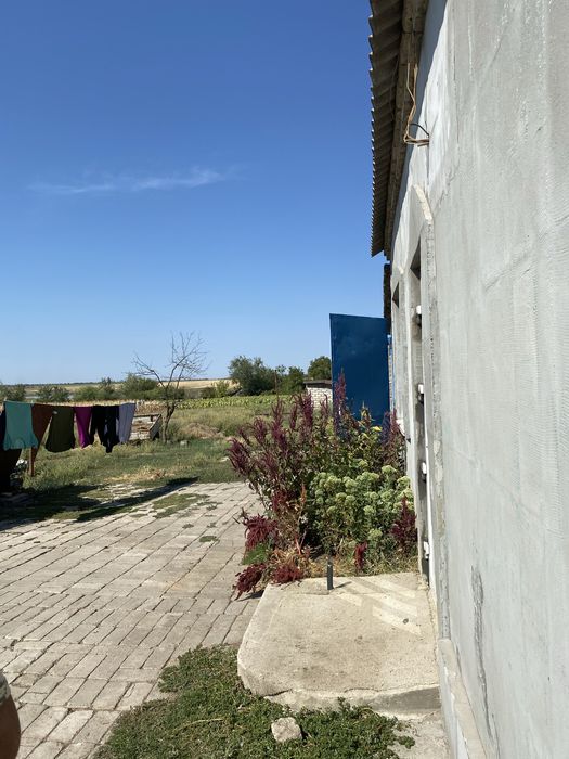 Будинок в селі Маяк Криворізький район