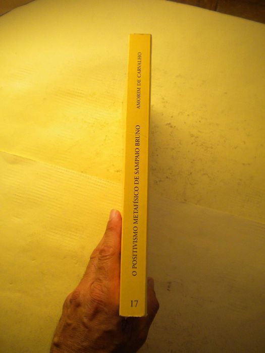 O Positivismo Metafísico de Sampaio Bruno
de Amorim de Carvalho