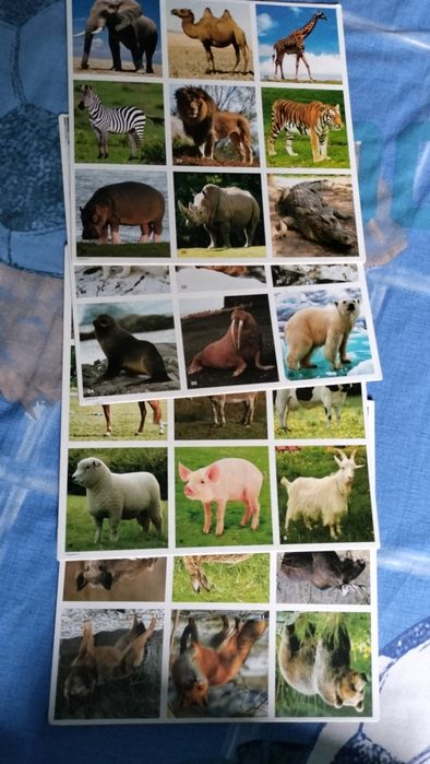 Дитяче лото,карточки