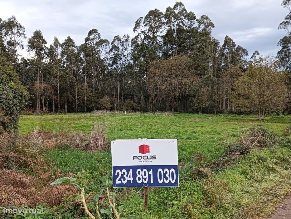 Terreno com 37m de frente - Estarreja