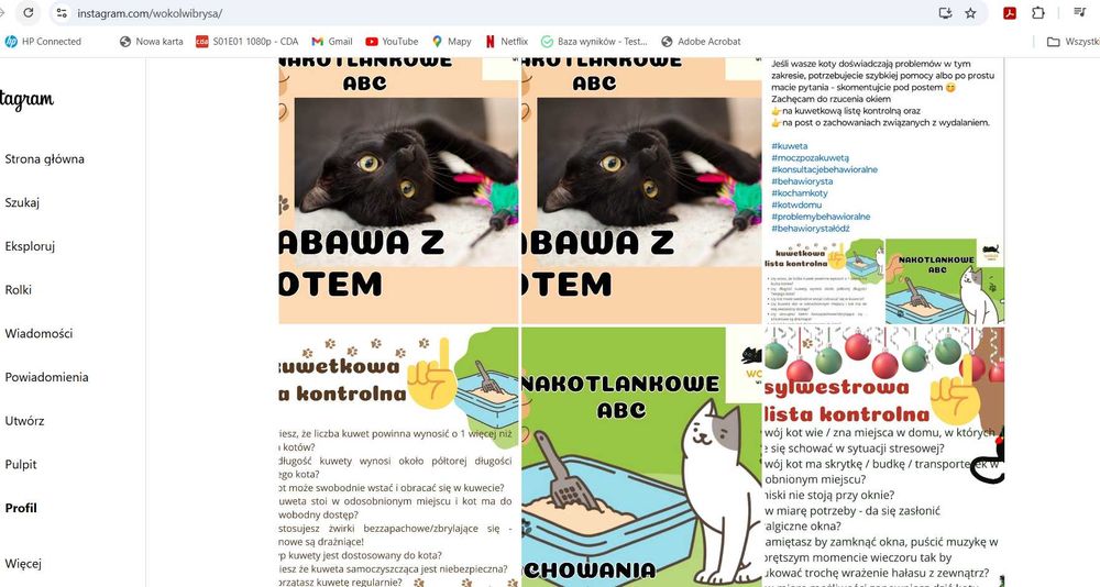 zoopsycholog behawiorysta koty online catsitting petsitter konsultacje