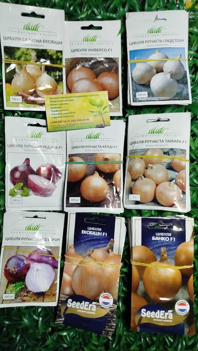 Радар Стурон Геркулес Штуттгартен  Посадков цибуля сівок Озима насіння