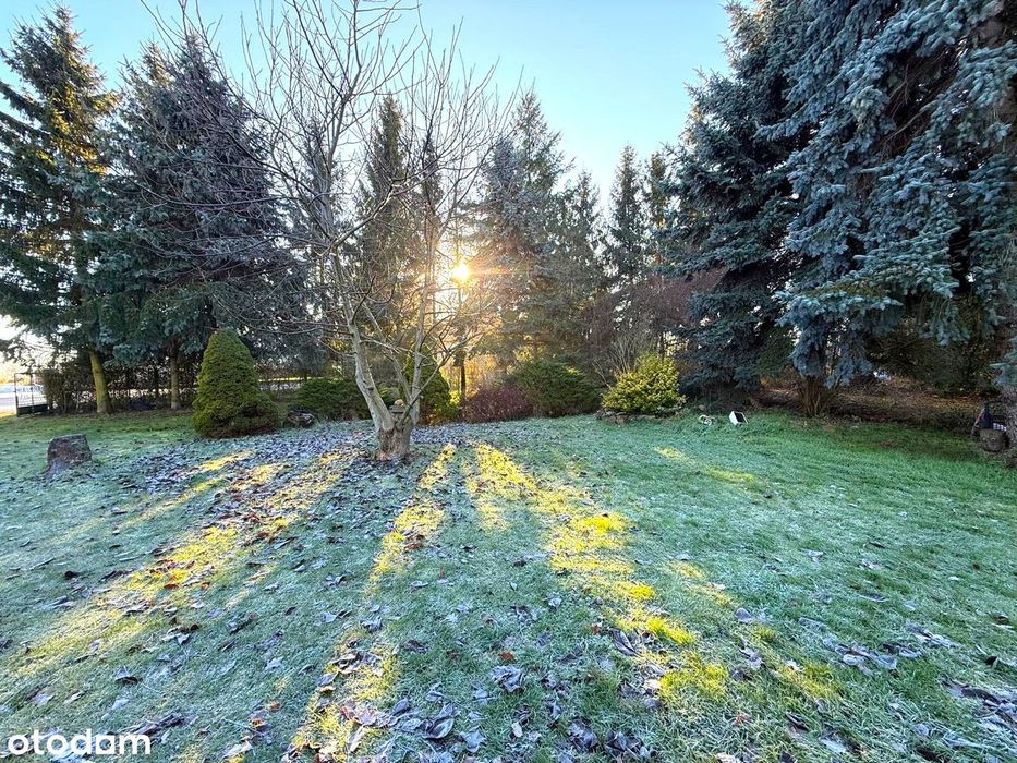 Dom z ogrodem/Włóki!