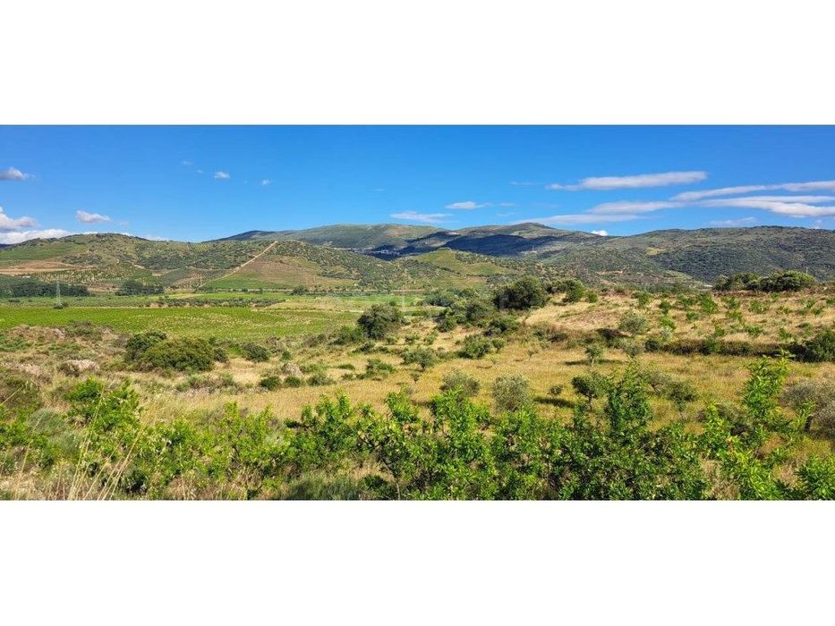 5-Hectare Plot in Cabanas Cima, Torre de Moncorvo.