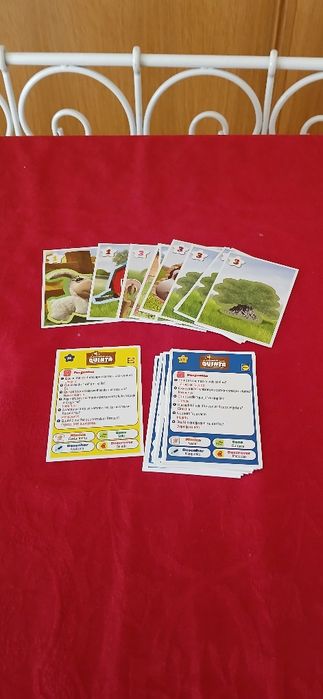 Cartas Amigos da Quinta, novas