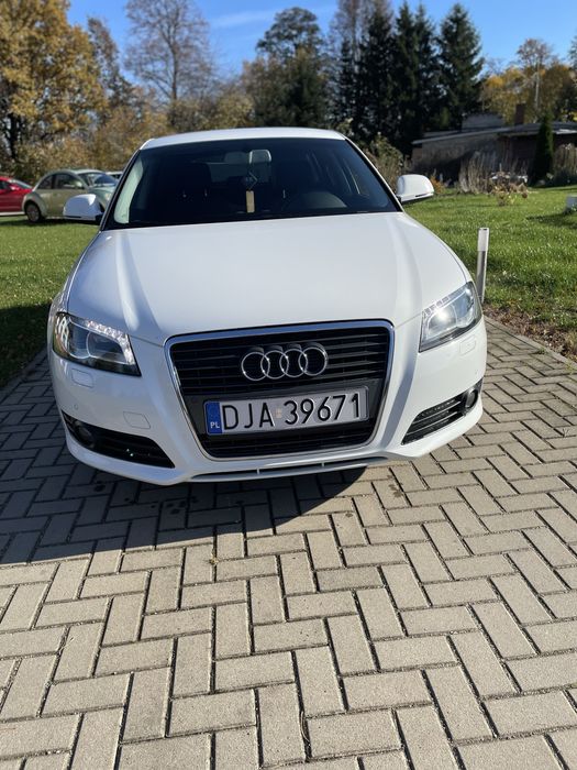 Audi A3 8P 1.6 TDI