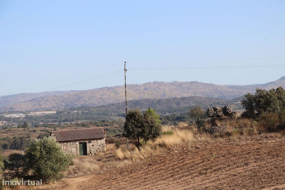 Quinta em Celorico da Beira com 5,9 ha com vista para Celorico Gare e