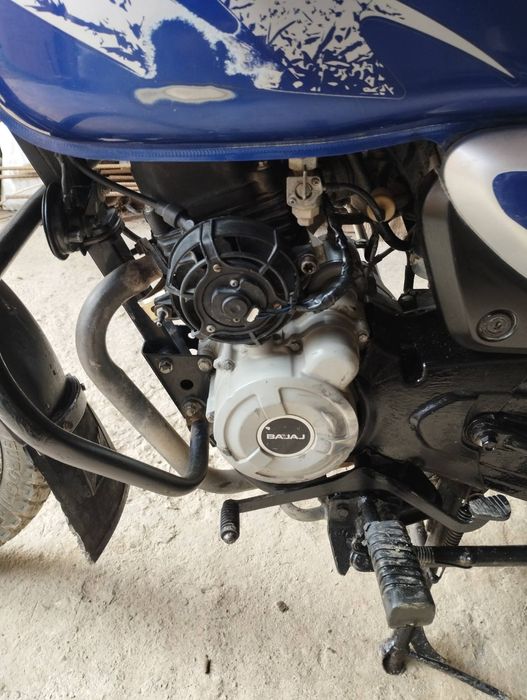 Продам баджач боксер 150