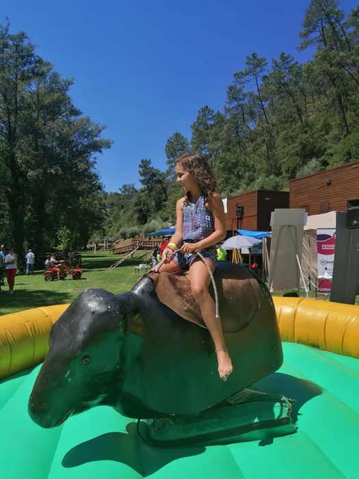 TOURO MECÂNICO Low Cost63823860747393121