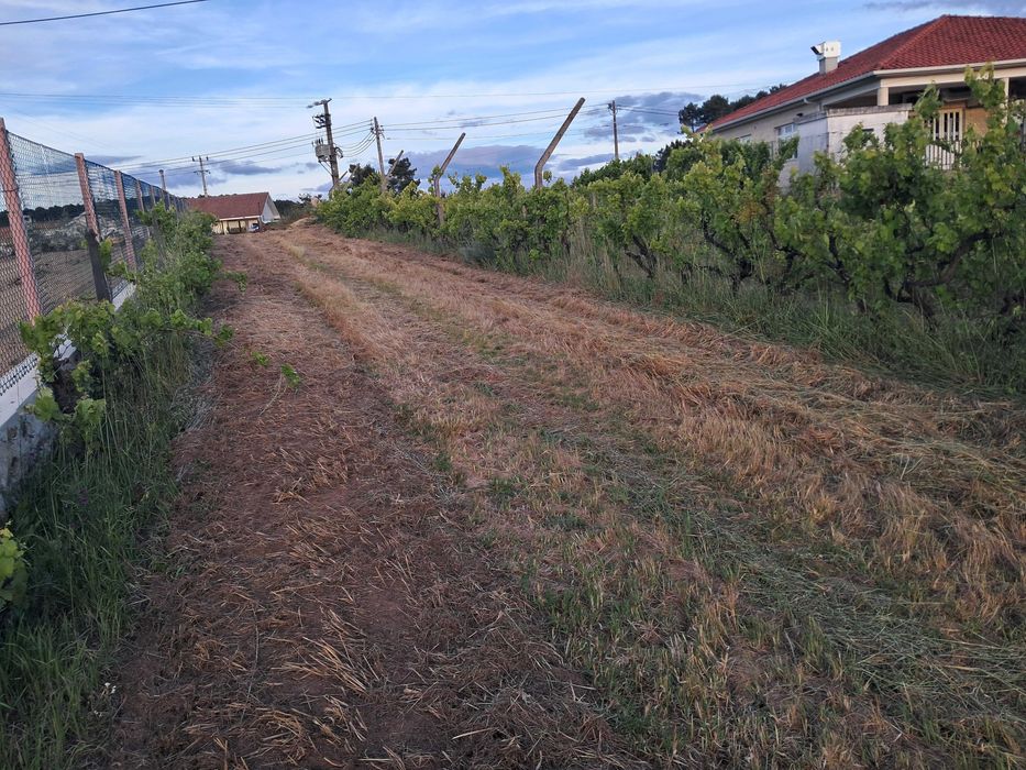 Terreno Rústico com Viabilidade de Construção 5.000 m² - Vale de Nogueiras, Vila Real