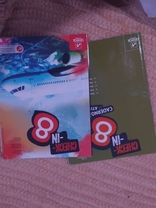 Manuais e livros de fichas do 8°ano