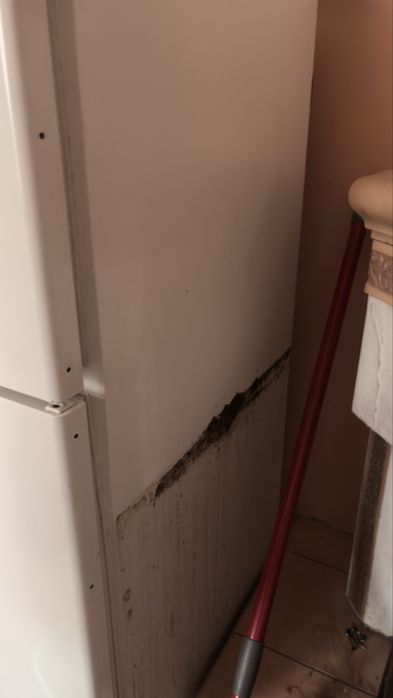 Lodowka 140 cm uzywana