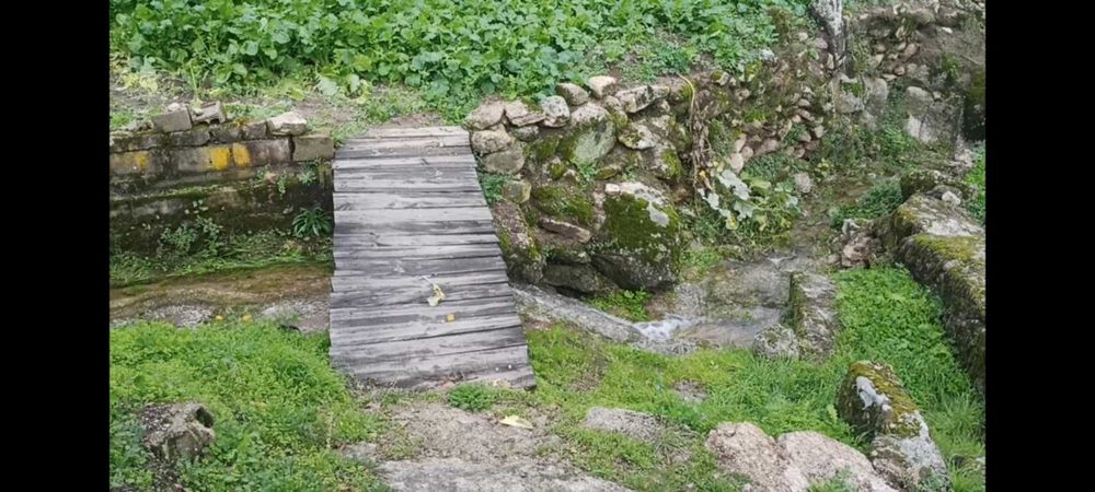 Terreno com 1,6h e viabilidade de construção apoio agricola