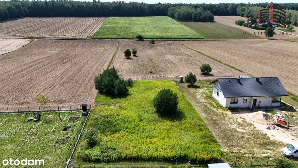 Osmolice Drugie, działka budowlana, widok na las