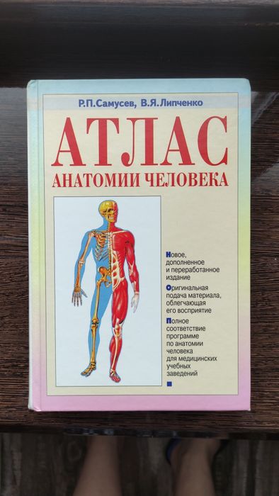 Атлас анатомии человека