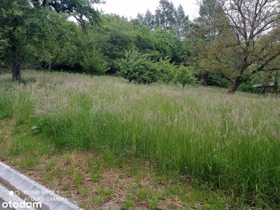 Działka nr 201 – 67 arów  • Tarnawka 239 , powiat Łańcut - Widok 4