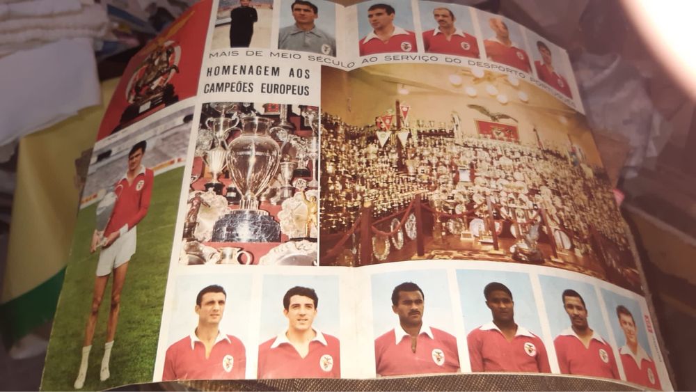 Revista do Benfica