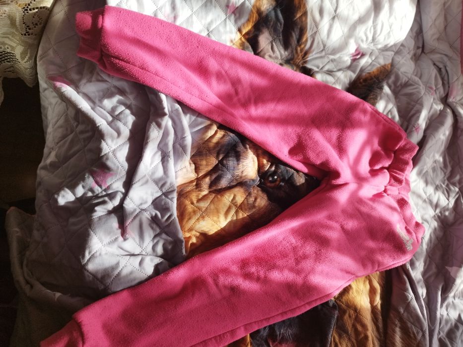 Dresy dziewczęce Lol 134