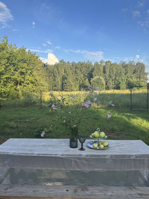 Автономний будинок біля лісу, тихе спокійне  місце
