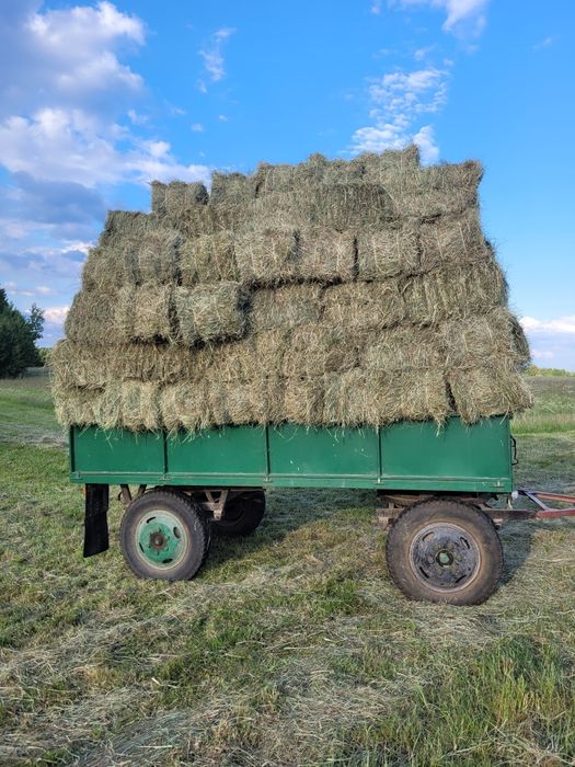 słoma  sprzedam mała kostka i Bele