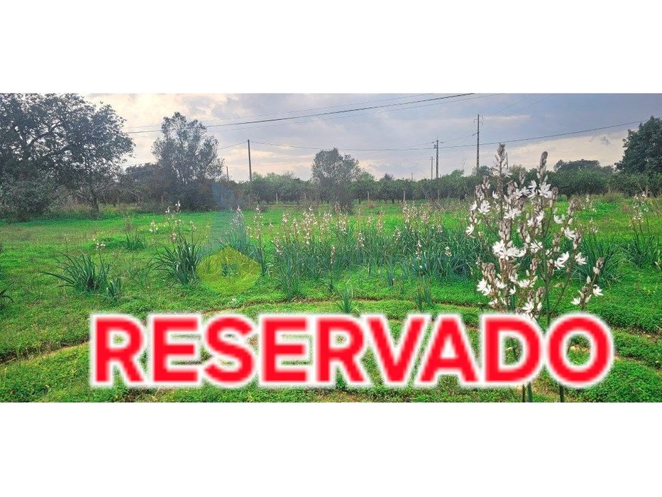 Terreno fértil em zona rural, para agricultura, projecto florestal,... — São Bartolomeu de Messines, Faro