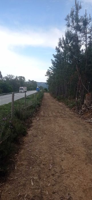 Terreno Rústico com 17500 mts na Sertã