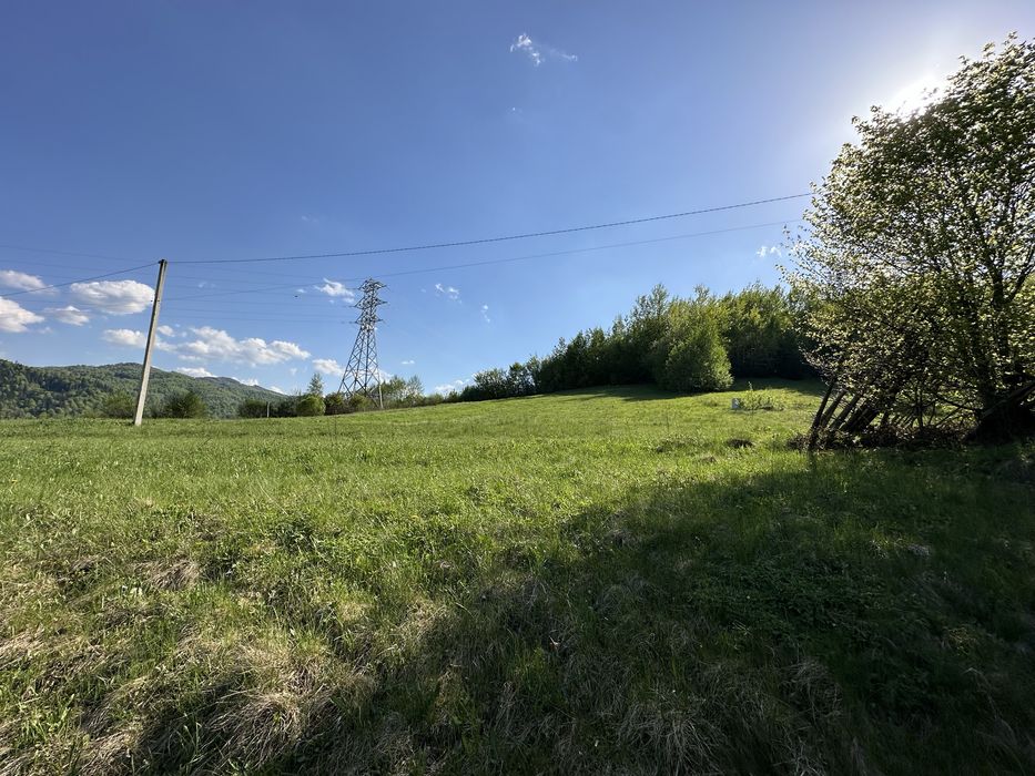 Продам землю біля лісу 35 соток