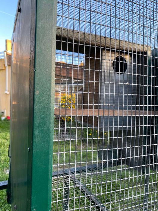 Vendo Gaiolas para Papagaios Completas