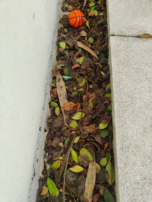 Limpeza de algerozes