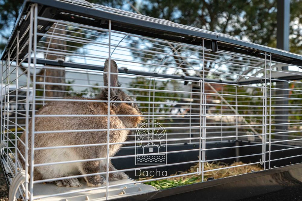 Вілла з лазнею,банкетним залом на 10спалень  для відпочинку /3012