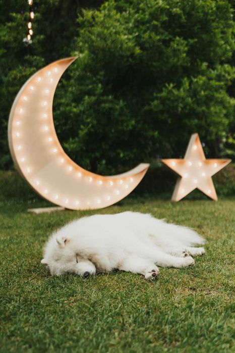 Księżyc LED, Gwiazdki, Gwiazdy LED, Napis LOVE na wynajem