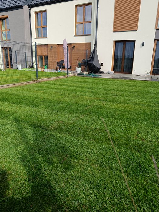 Zakładanie Trawników, Prace Ogrodnicze, niwelacja terenu