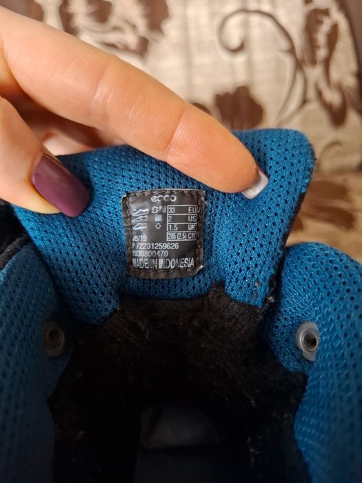 Зимові сапоги Ecco