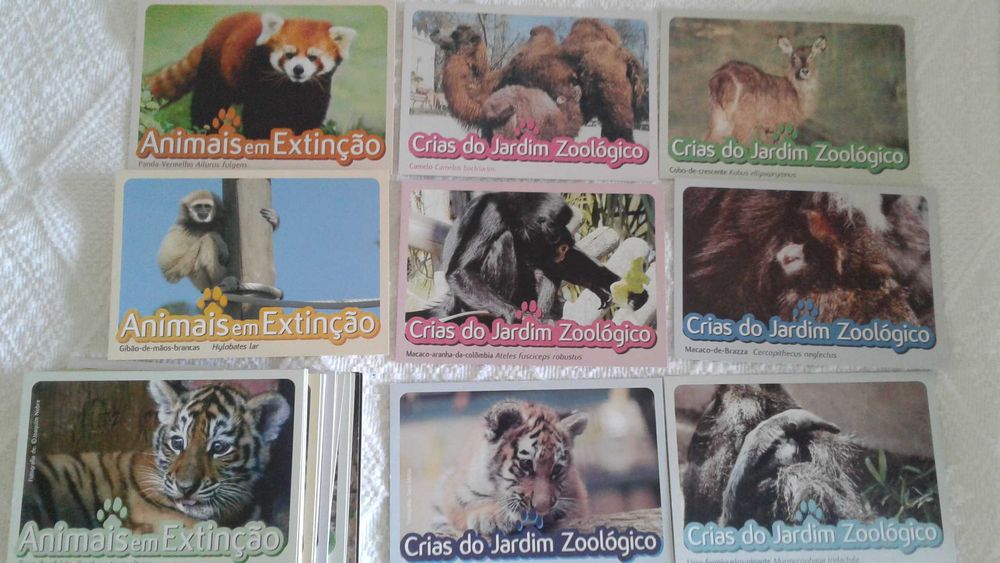 31 postais das Crias do Jardim Zoológico