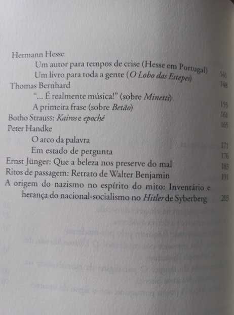 A Palavra Transversal - João Barrento