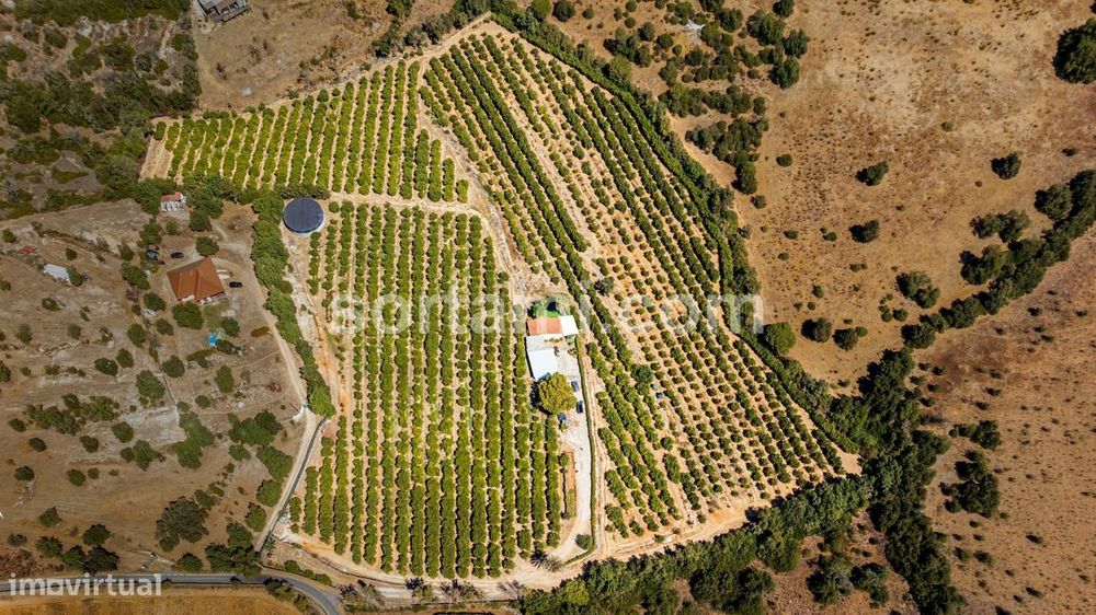 Moradia Isolada T1 Venda em Alcantarilha e Pêra,Silves