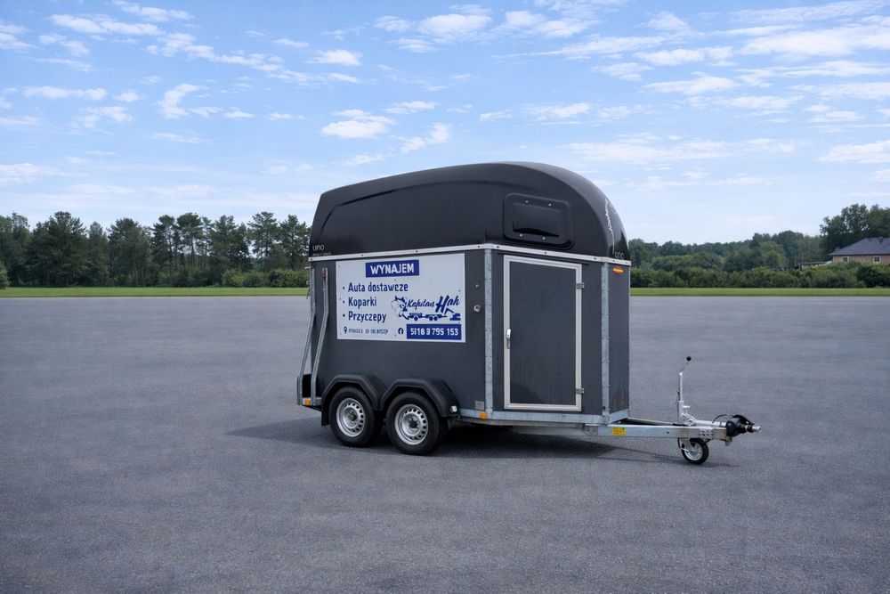 Koniowóz 1-konny | DMC 1300 | Prawo jazdy B | Występ