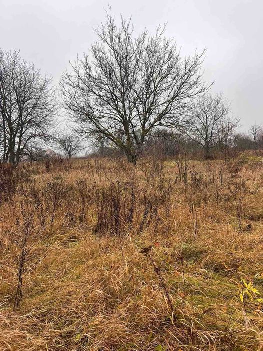 Продам земельну ділянку під забудову в с.Некрасове 7218