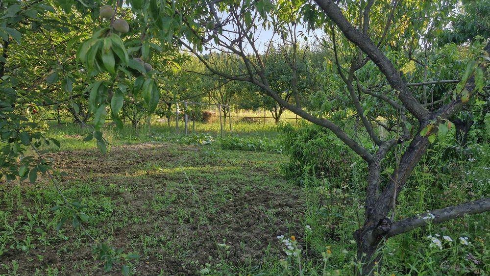Продаж будинку  на 8 сотках землі
