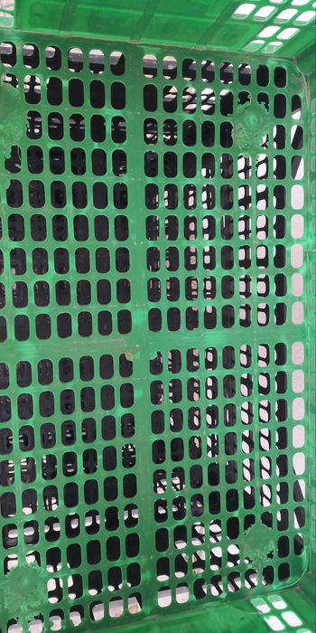 5 caixotes 60 X 40 X 21 cm