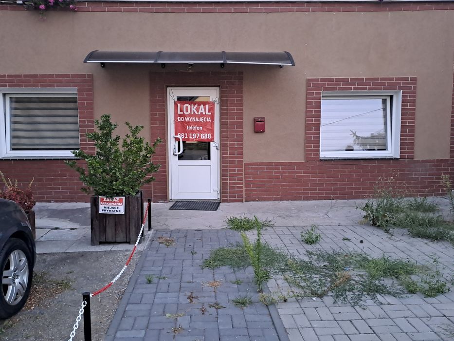 Lokal do wynajęcia