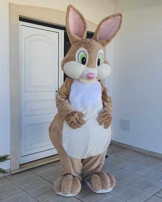 Mascote Coelho - Pode ser usado em eventos - Páscoa