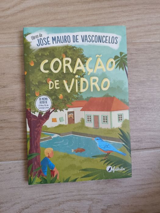 José Mauro de Vasconcelos - Coração de vidro