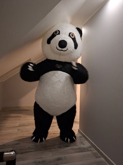 Biały miś, panda , fotolustro wesela,dym, iskry, imprezy , urodziny ,